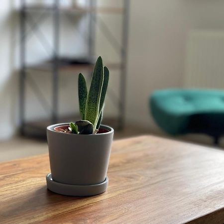 Modern * Zentral * Netflix * Arbeitsplatz Apartment Вупертал Екстериор снимка