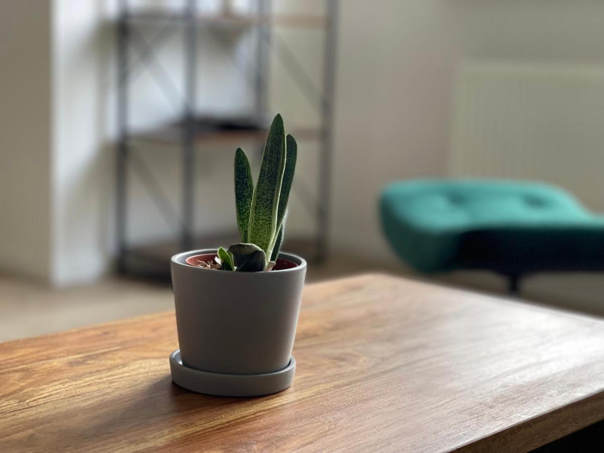 Modern * Zentral * Netflix * Arbeitsplatz Apartment Вупертал Екстериор снимка